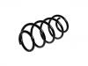 Coil Spring:1K0 411 105 BG