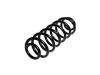 Coil Spring:3C0 511 115 AF