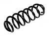 Coil Spring:3C0 511 115 AH