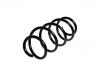 Coil Spring:1K0 411 105 DE