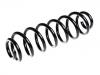 Coil Spring:1K0 511 115 CS