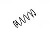 Coil Spring:54010-0M003