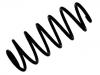 Coil Spring:5102.N6