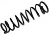 Fahrwerksfeder Coil Spring:MB910873