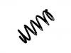 Coil Spring:52441-S5A-A63