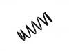 Coil Spring:55020-5M811