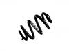 Coil Spring:7H0 511 115 AP