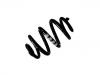 Coil Spring:7H5 511 115 P