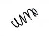 Coil Spring:1K0 411 105 FH