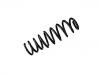 Coil Spring:50707717