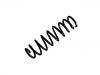 Coil Spring:50705383