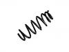 Coil Spring:50706963