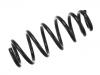 Coil Spring:50706965