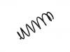 Coil Spring:50520152