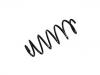 Coil Spring:50518812