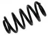 Coil Spring:8E0 411 105 CD