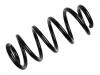 Coil Spring:8E0 411 105 DL