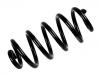 Coil Spring:4F0 511 115 BP