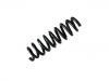 Coil Spring:33 53 6 790 131