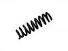 Coil Spring:33 53 6 790 132