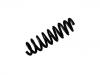 Coil Spring:33 53 6 790 119