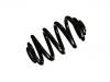 Coil Spring:33 53 3 413 182