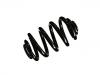 Coil Spring:33 53 3 413 185