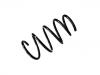 Coil Spring:31 33 3 412 733