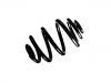 Coil Spring:33 53 6 785 087