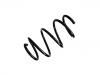 Coil Spring:31 33 1 093 087