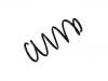 Coil Spring:5002.W4