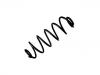 Coil Spring:5102.AP