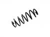 Coil Spring:5102.GR