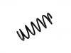 Coil Spring:48131-B2400-000