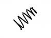 Coil Spring:46431523