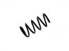 Coil Spring:46414863