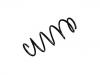 Coil Spring:50701548