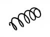 Coil Spring:50707384