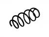 Coil Spring:50707387