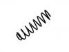 Coil Spring:1230922