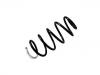 Coil Spring:1350505