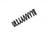 Coil Spring:51401-SS0-J01