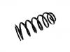 Coil Spring:52441-SNC-A01