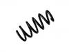 Coil Spring:52441-SWY-E11