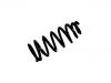 Coil Spring:55330-2V300