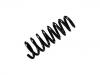 Coil Spring:55350-2M000