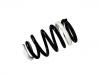 Coil Spring:55100-4H100