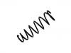 Coil Spring:N163-28-011A