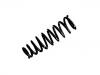 Coil Spring:GS1G-34-011