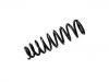 Coil Spring:GAL7-34-011